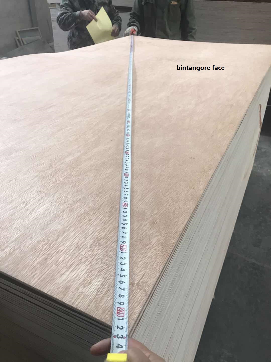 plywood supplier