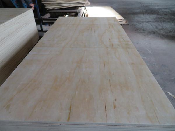 E1 Glue Pine Face Back LVB