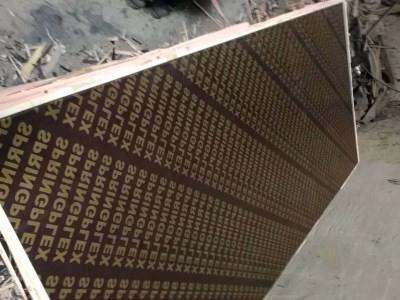 Shimizu template shuttering plywood