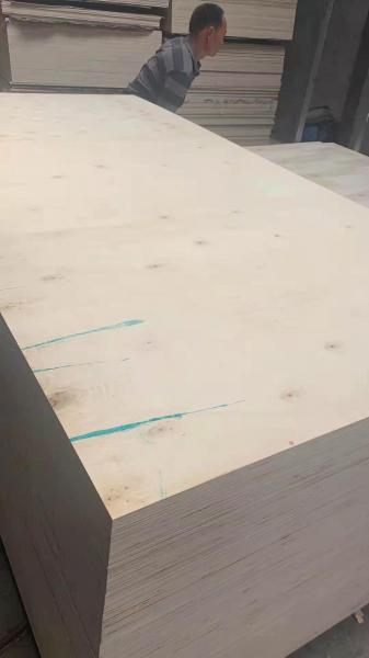 shuttering plywood without film