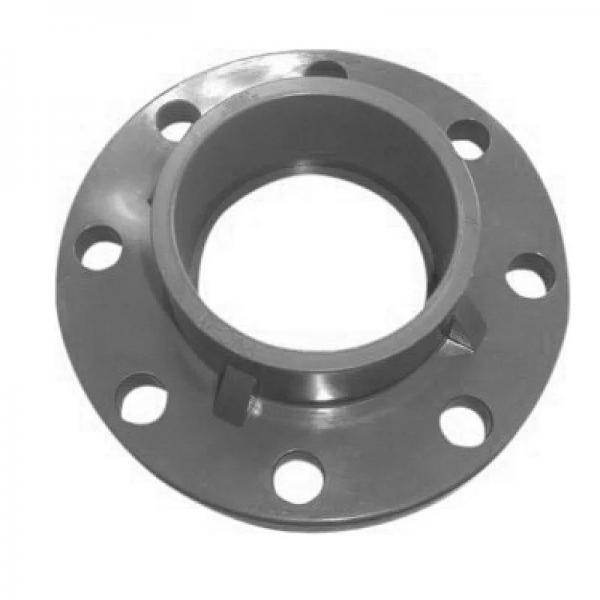 CPVC Ts Flange