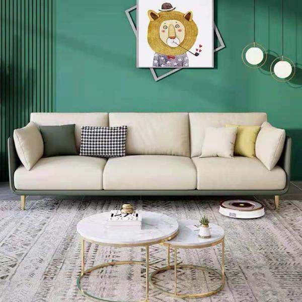 Waterproof science and technology cloth sofa