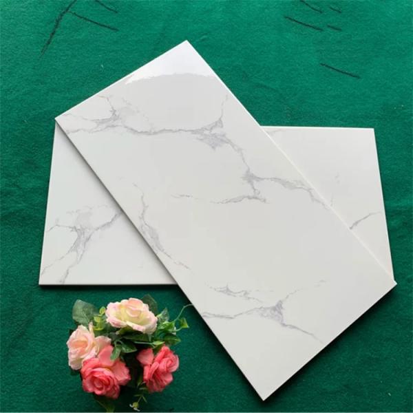 Ceramic interior wall tiles