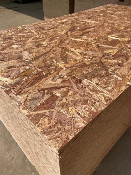 OSB Board for Construction OSB Board for Construction