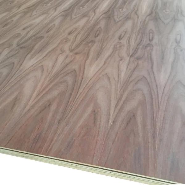 Veneered Plywood and MDF-Carribbean Walnut