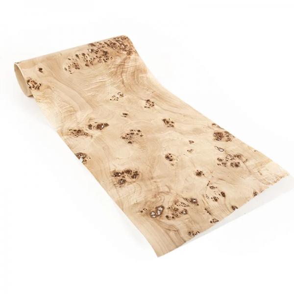 Maple Burl Wood Veneer