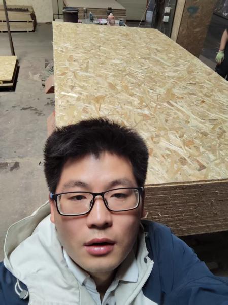 OSB 8mm 11mm 14mm 17mm OSB 8mm 11mm 14mm 17mm