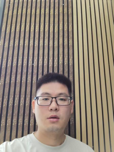 Acoustic wall panels