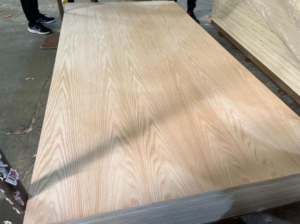 red oak plywood