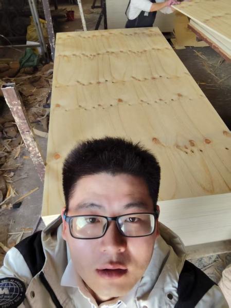 cdx pine plywood