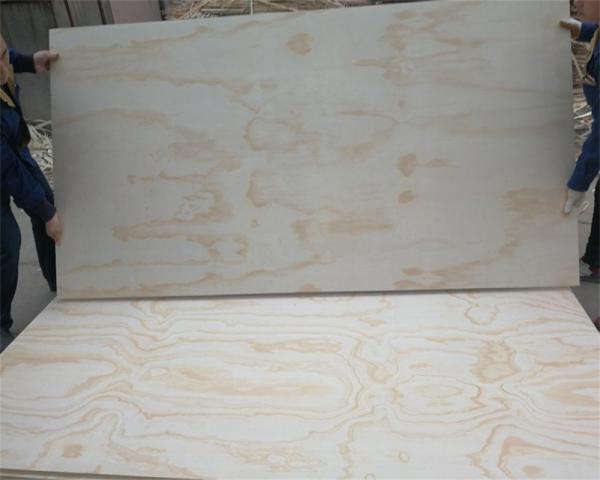 4x8 pine cheap ply wood board fancy plywood
