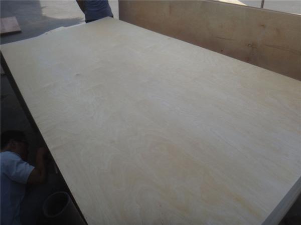 2.5-30mm birch plywood