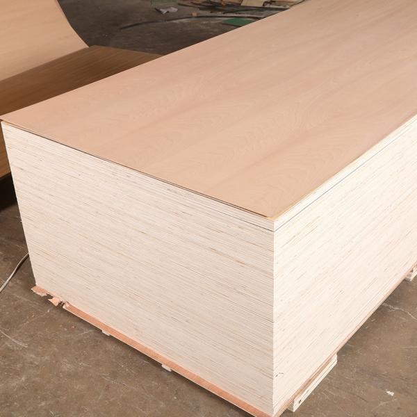 beech veneer plywood