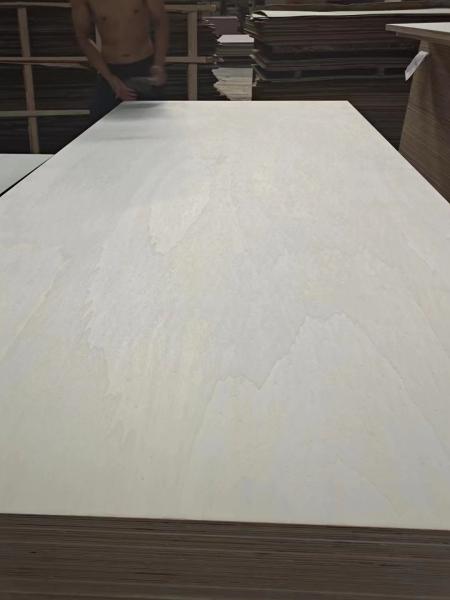 Poplar plywood For furniture /WBP Glue/E1 Glue Made in China