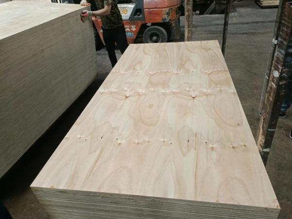 CDX Pine Plywood WBP Glue/For construction