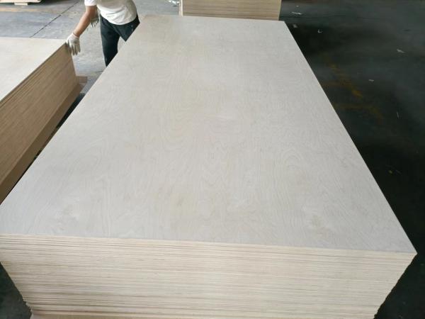 100% BIRCH PLYWOOD MADE IN CHINA